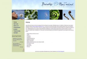 old NZAB website
